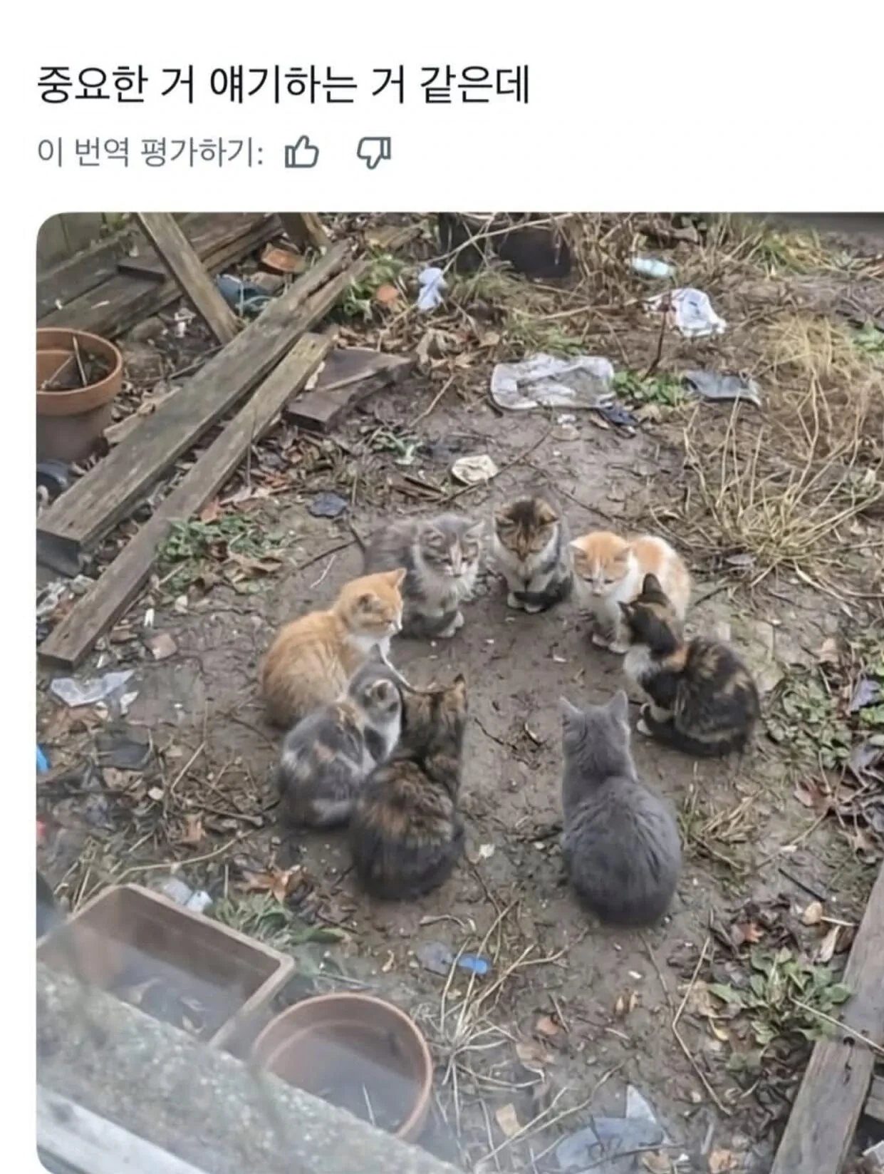 중요한 거 얘기하는 중.jpg | 인스티즈