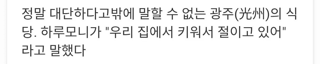 광주의 식당에서 묵은지 김치에 매료된 일본인.jpg | 인스티즈