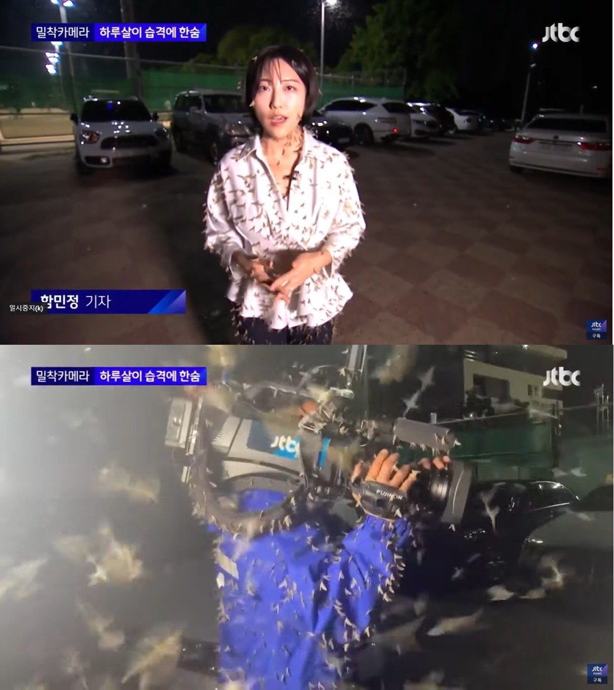 (혐오주의) 오늘 압구정 상황 | 인스티즈