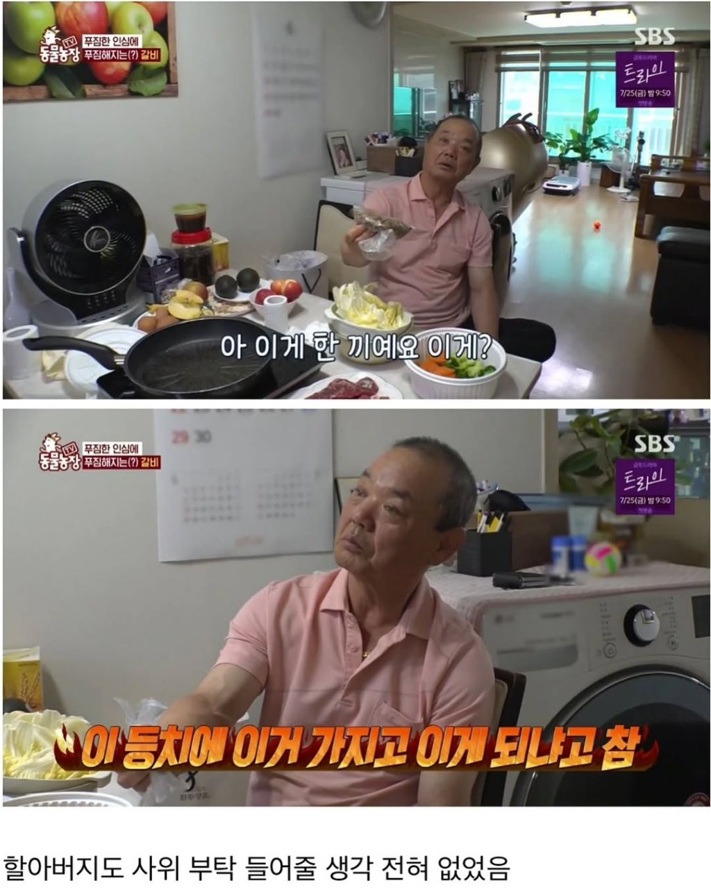 할머니한테 개 맡기면 안되는 이유 | 인스티즈