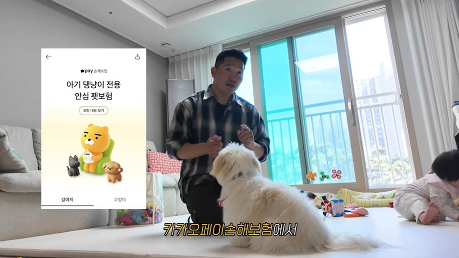 결국 펫보험 설계사 자격증 까지 땄다는 강형욱 근황 | 인스티즈