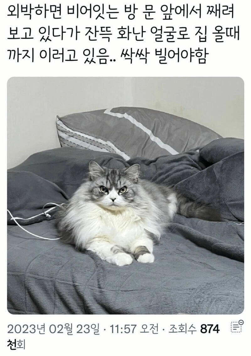 동거인이 외박해서 화남 | 인스티즈