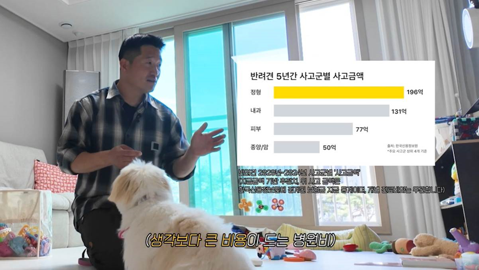 결국 펫보험 설계사 자격증 까지 땄다는 강형욱 근황 | 인스티즈