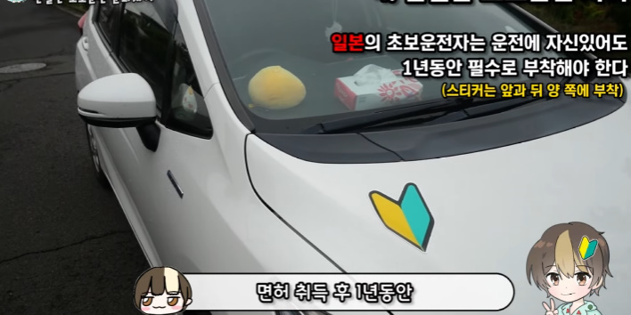 이건 따라했으면 하는 일본의 '초보운전' 제도 | 인스티즈
