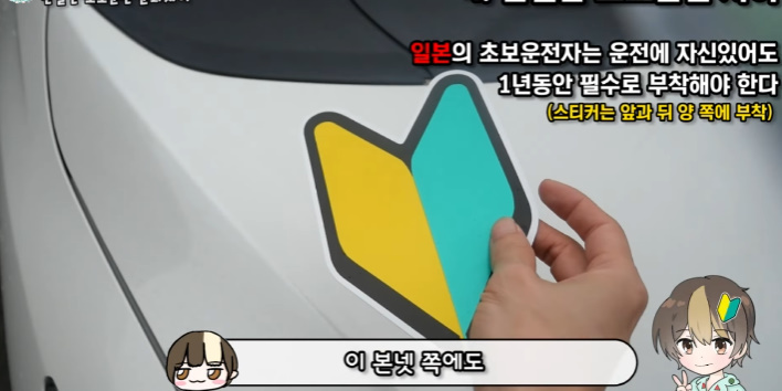 이건 따라했으면 하는 일본의 '초보운전' 제도 | 인스티즈