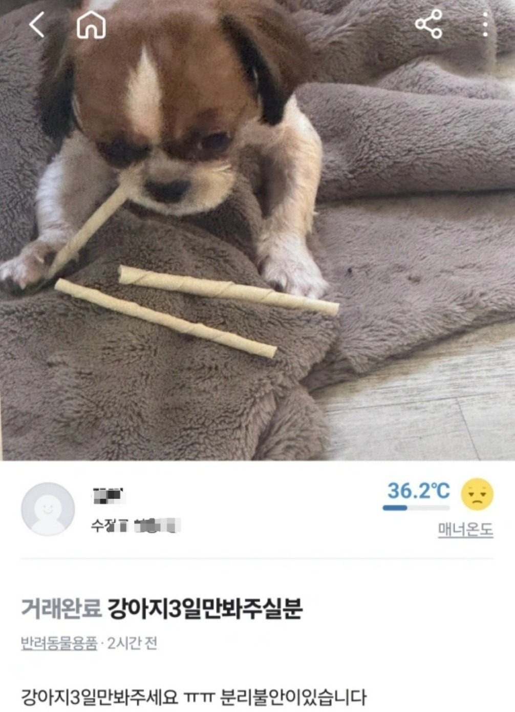 당근으로 강아지 유기한 인간.jpg | 인스티즈