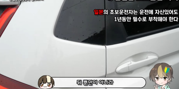 이건 따라했으면 하는 일본의 '초보운전' 제도 | 인스티즈