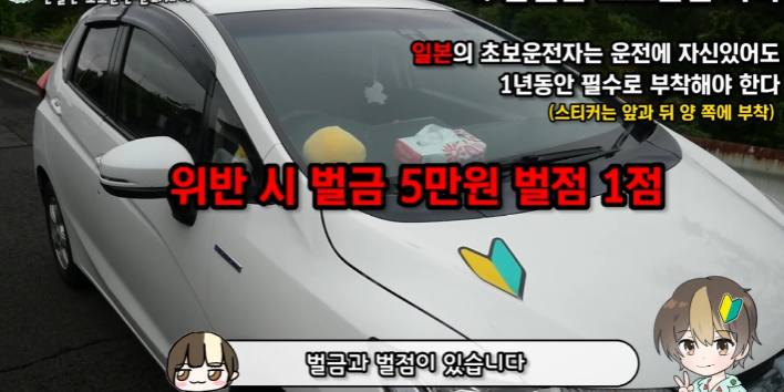 이건 따라했으면 하는 일본의 '초보운전' 제도 | 인스티즈