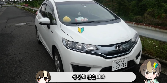 이건 따라했으면 하는 일본의 '초보운전' 제도 | 인스티즈