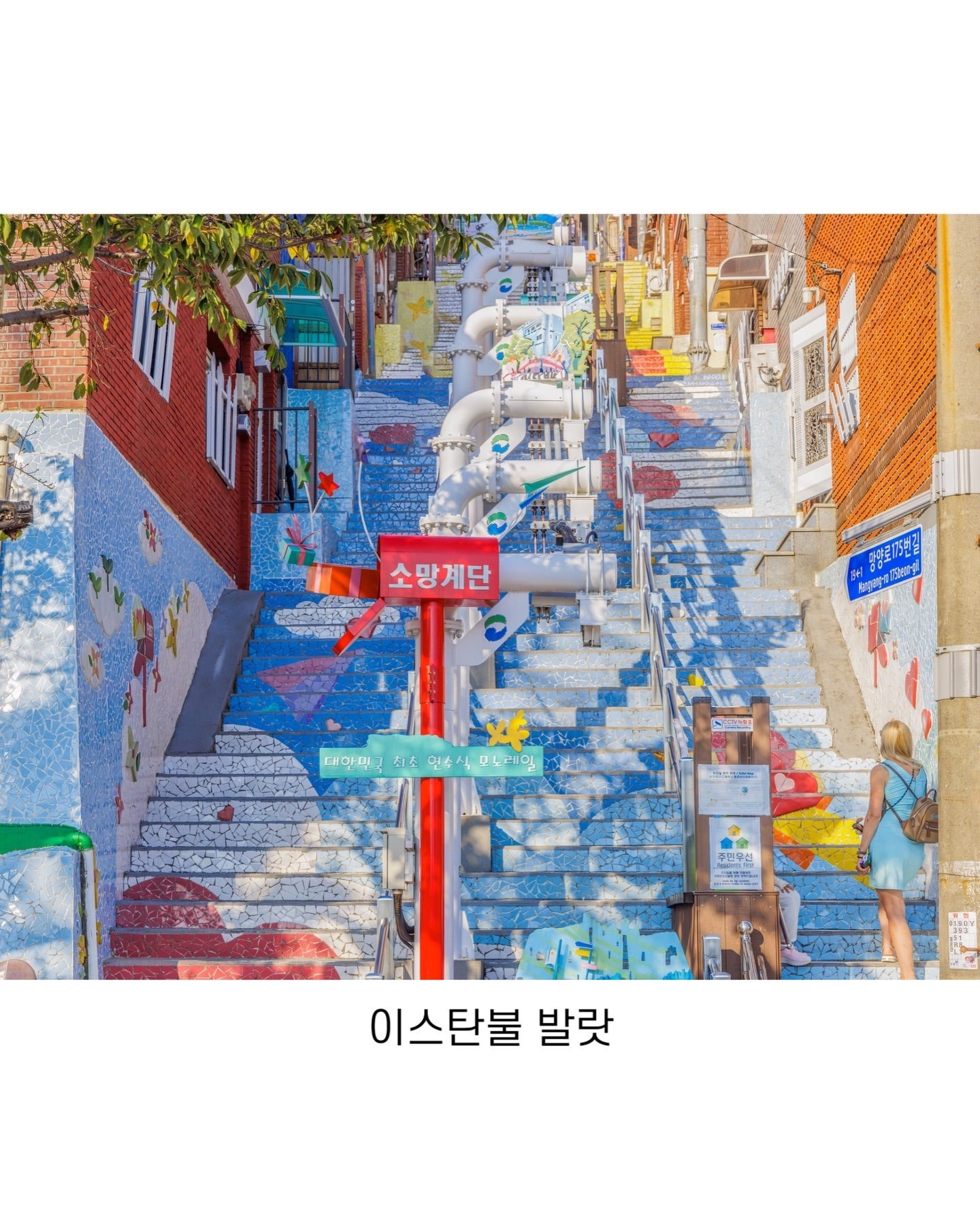 외국인들이 부산 오면 환장하는 이유.jpg | 인스티즈
