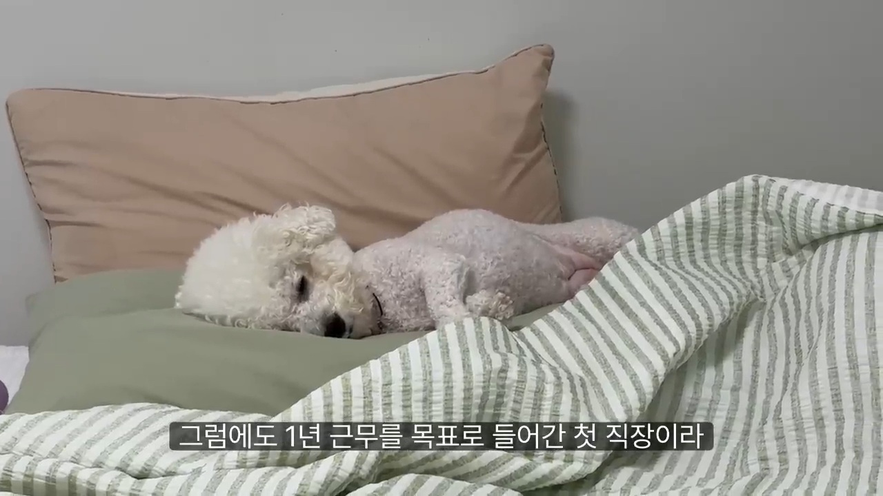 당일퇴사 브이로그 | 인스티즈