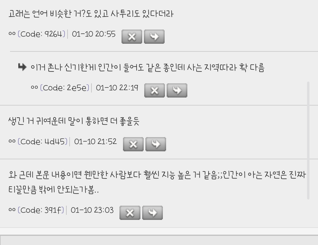 범고래의 지능 측정 힘든 이유 가설인데 좀 소름돋음 | 인스티즈