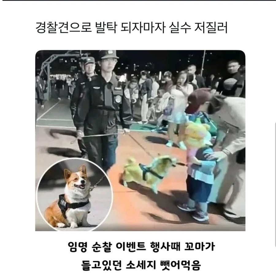 공무원 되자마자 대형 사고 친 신규.. | 인스티즈