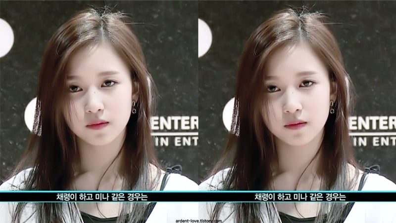 트와이스 멤버 과거사진 완전 총정리! 다 모았다~ | 인스티즈
