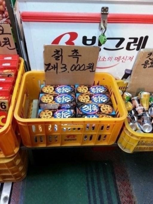 쫒파 칡촉 보리꼬리.JPG | 인스티즈