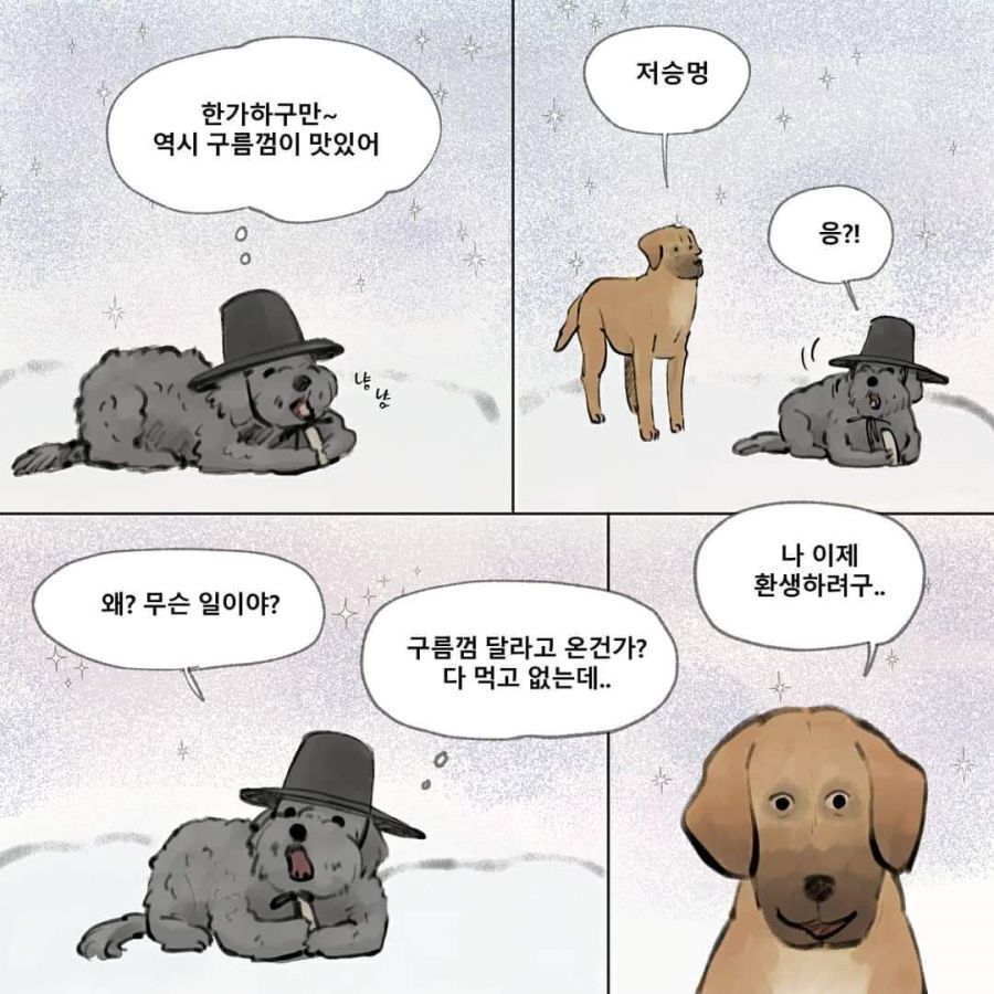 환생하려는 강아지 | 인스티즈
