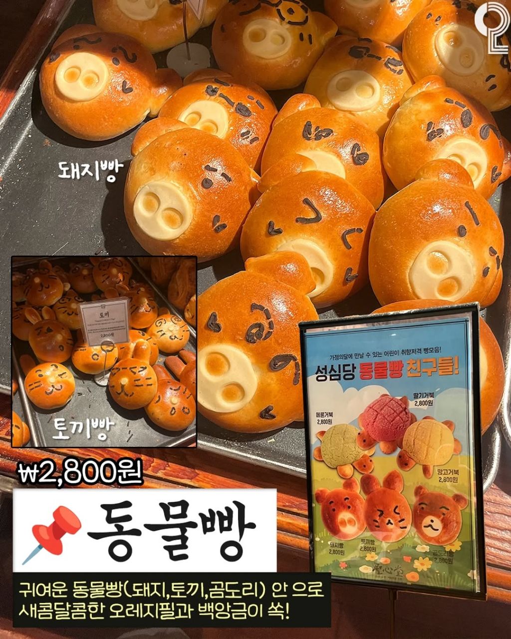 성심당 5월 신상 | 인스티즈