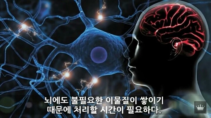 사람이 잠을 안자면 일어나는 현상 | 인스티즈