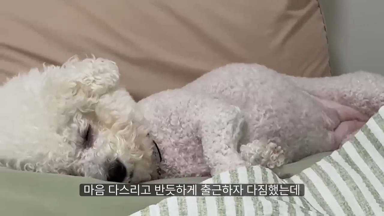 당일퇴사 브이로그 | 인스티즈