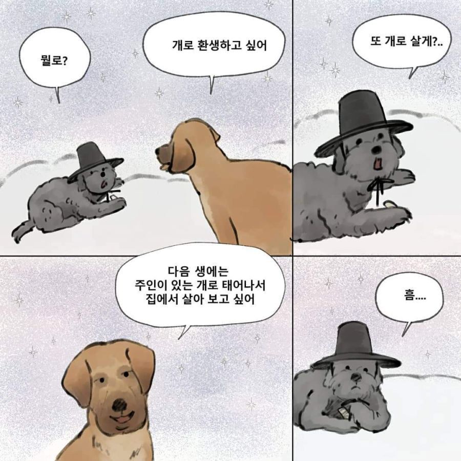 환생하려는 강아지 | 인스티즈
