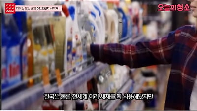 청소업체 사장님들이 추천해서 유명해진 다이소 청소 세제 | 인스티즈