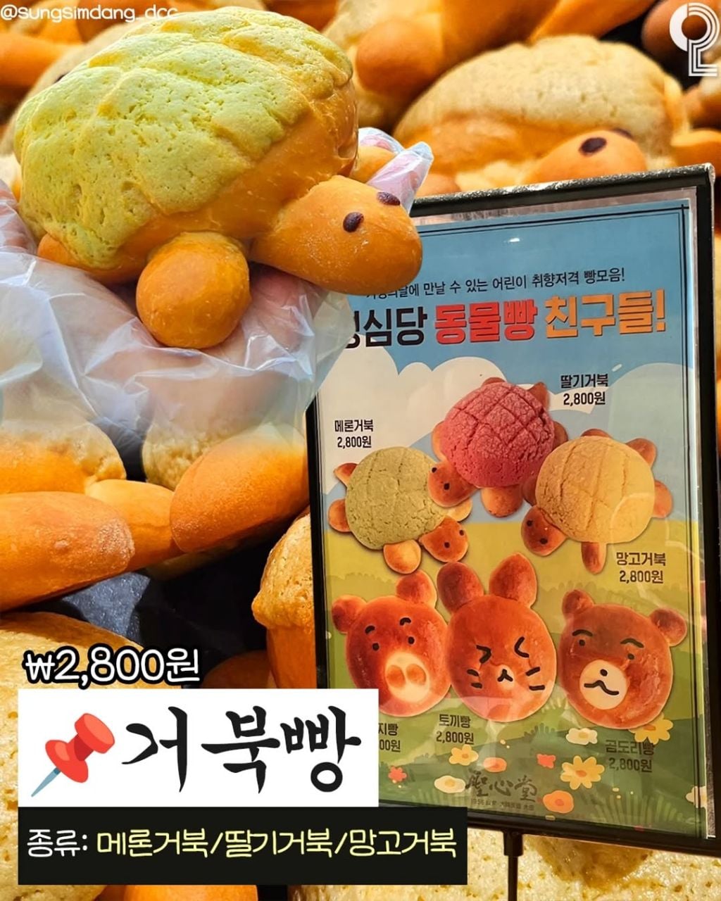성심당 5월 신상 | 인스티즈