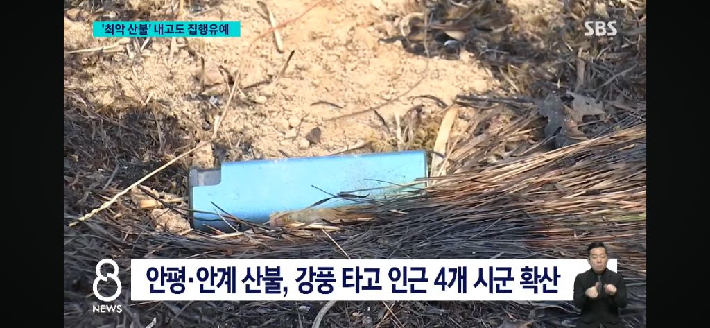 작년 경북 일대 '역대 최악의 산불' 주범, 집행유예 선고 "고의 아니야" | 인스티즈