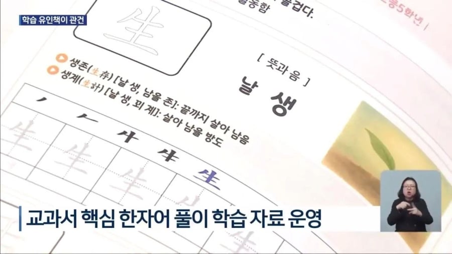 요즘 한자 교육 강화한다는 초등학교들 | 인스티즈