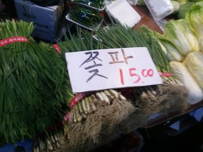 쫒파 칡촉 보리꼬리.JPG | 인스티즈