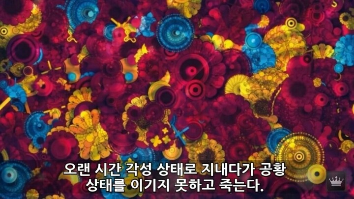 사람이 잠을 안자면 일어나는 현상 | 인스티즈