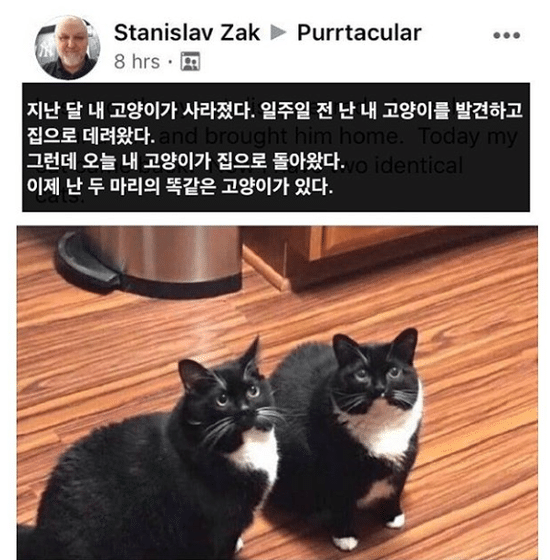 ㅋㅋㅋ아 ㅅㅂ 전래 챙피해.. 식당인데 엄마가 아빠한테 넌 나 없으면 어떻게 살래?! 이랬는뎈ㅋㅋㅋ | 인스티즈