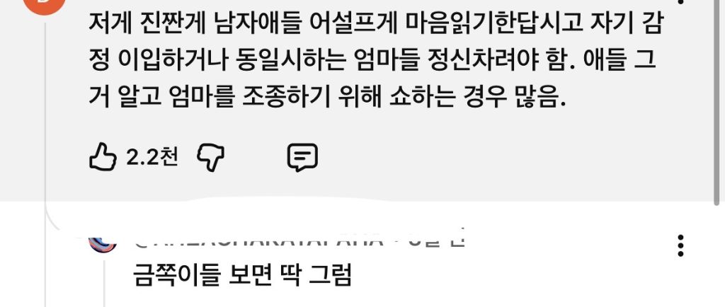 아들 육아에서 엄마 사랑이 중요하지 않은 이유 | 인스티즈