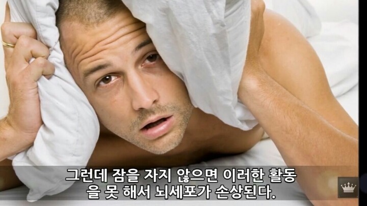 사람이 잠을 안자면 일어나는 현상 | 인스티즈