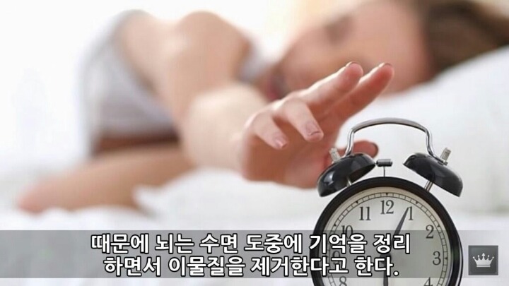 사람이 잠을 안자면 일어나는 현상 | 인스티즈