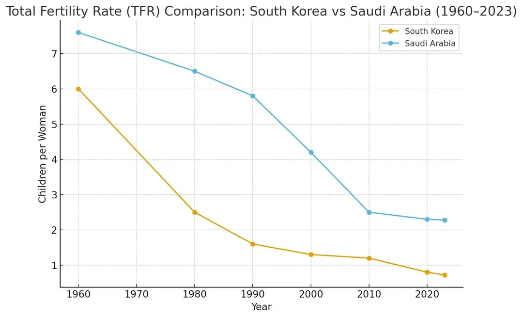 사실과는 다른 출산율 관련 통념들 | 인스티즈