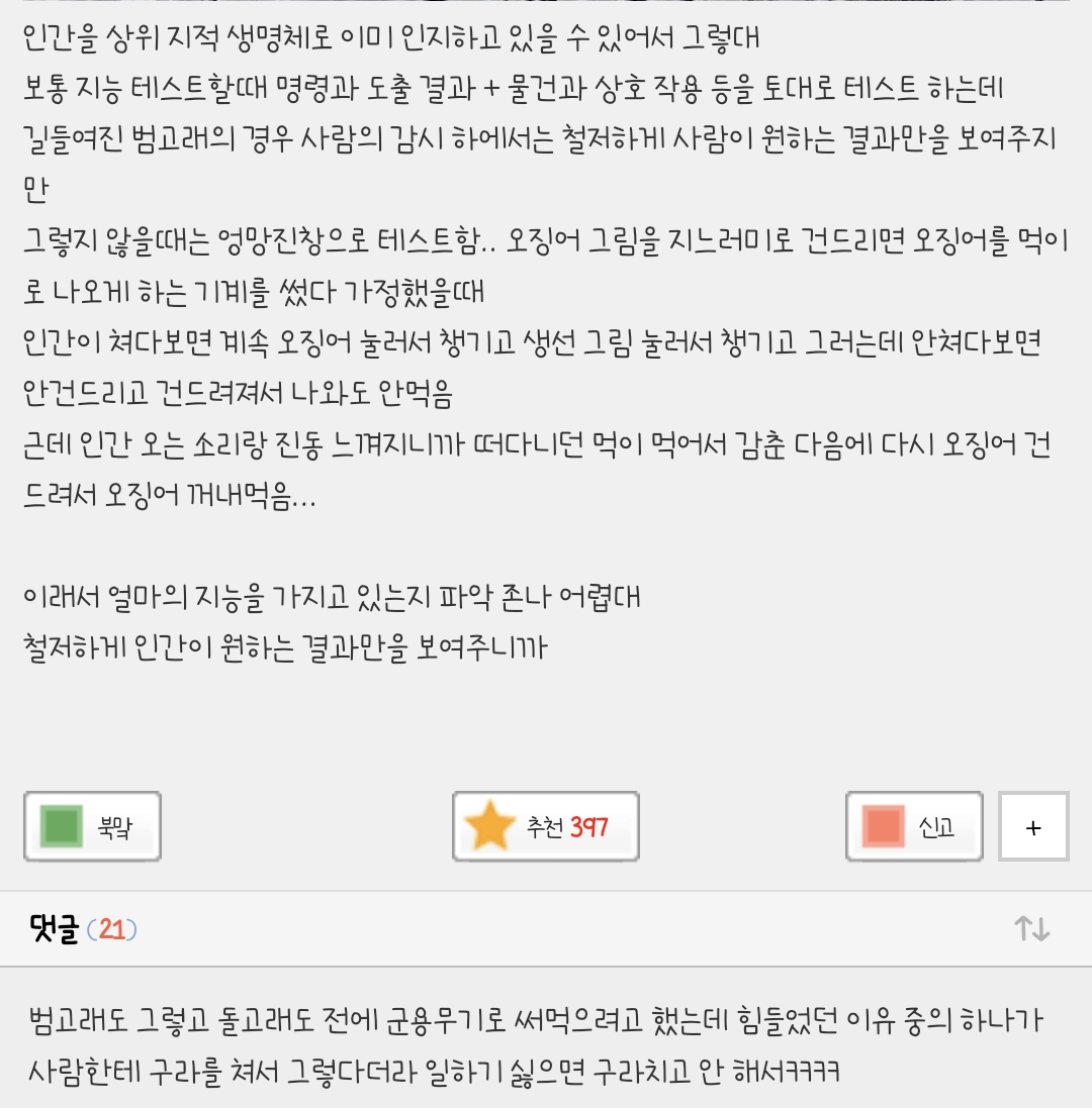 범고래의 지능 측정 힘든 이유 가설인데 좀 소름돋음 | 인스티즈