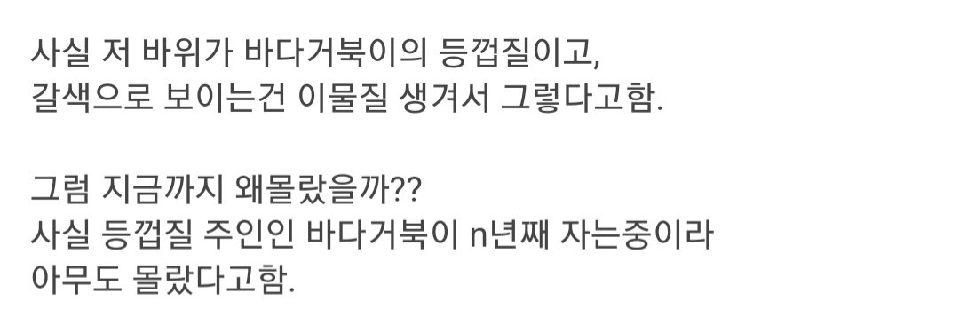 드디어 공개된 스폰지밥 뚱이의 집 비밀.jpg | 인스티즈