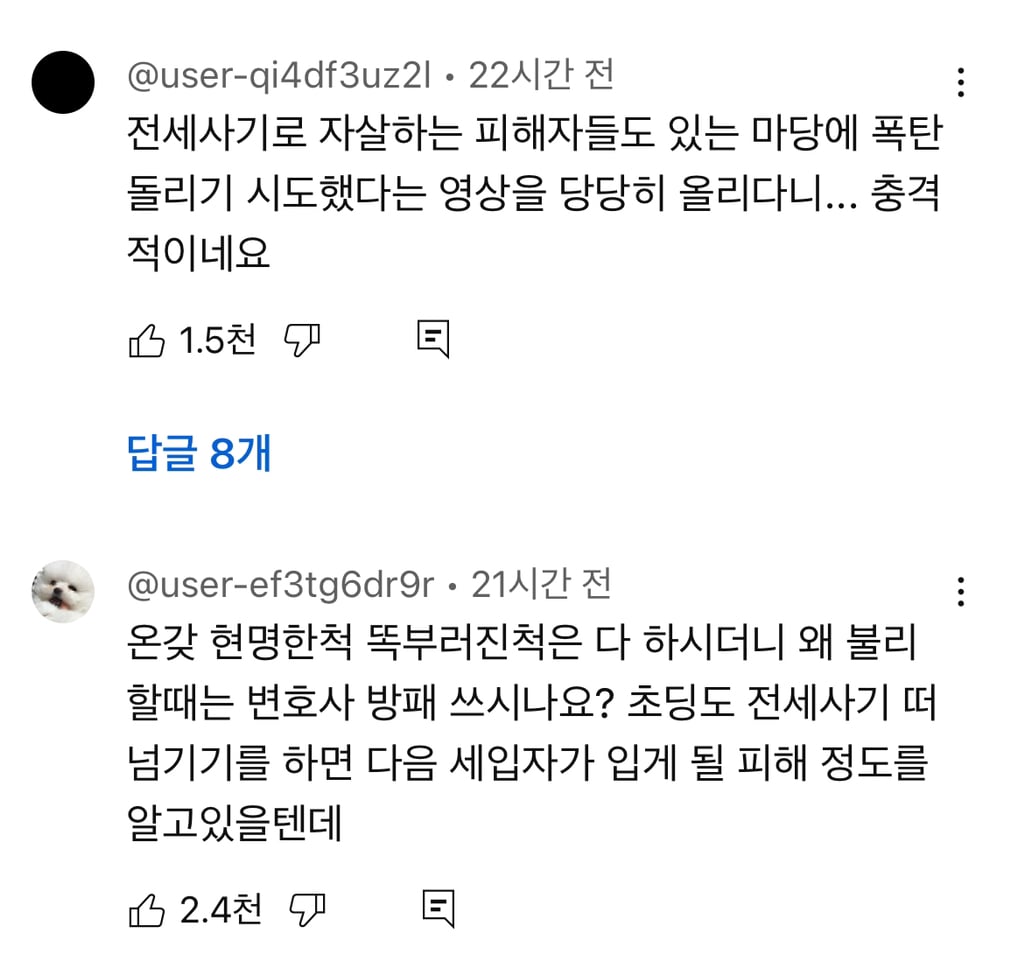 유튜브에서 6천플 찍은 달씨 해명문 (전세사기 폭탄돌리기 논란) | 인스티즈