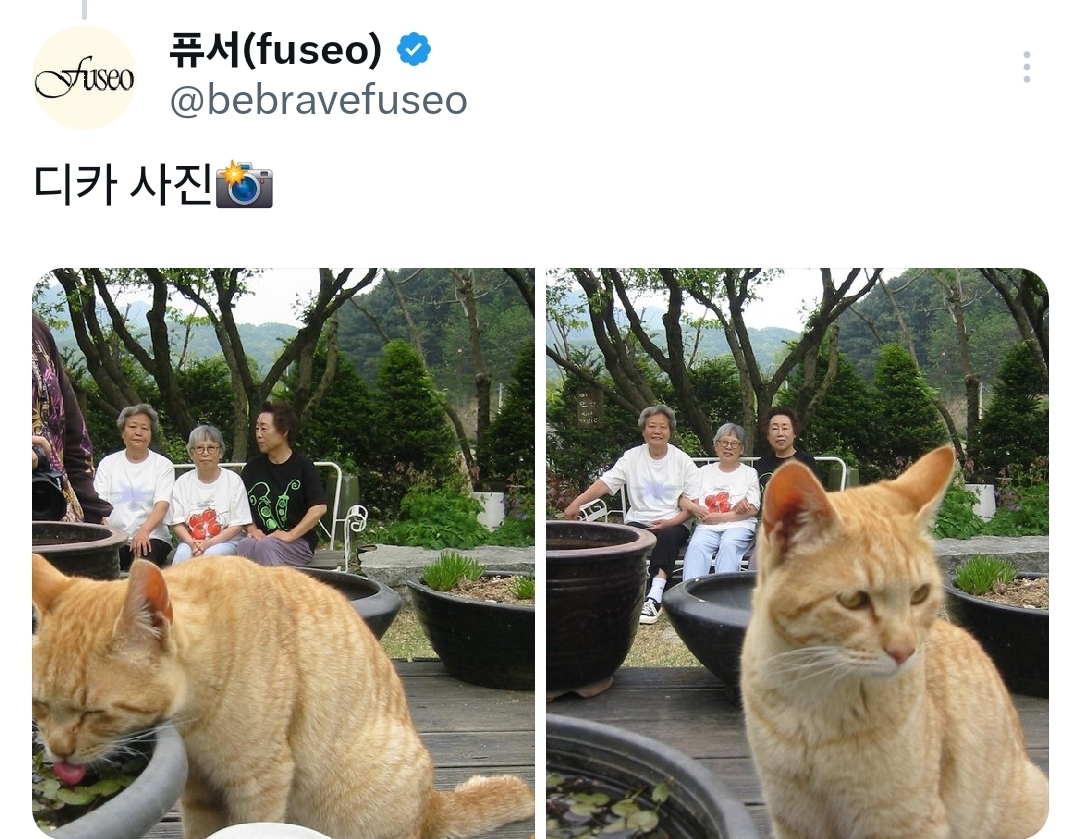 비혼 여성들의 롤모델을 모델로 섭외한 퓨서 | 인스티즈