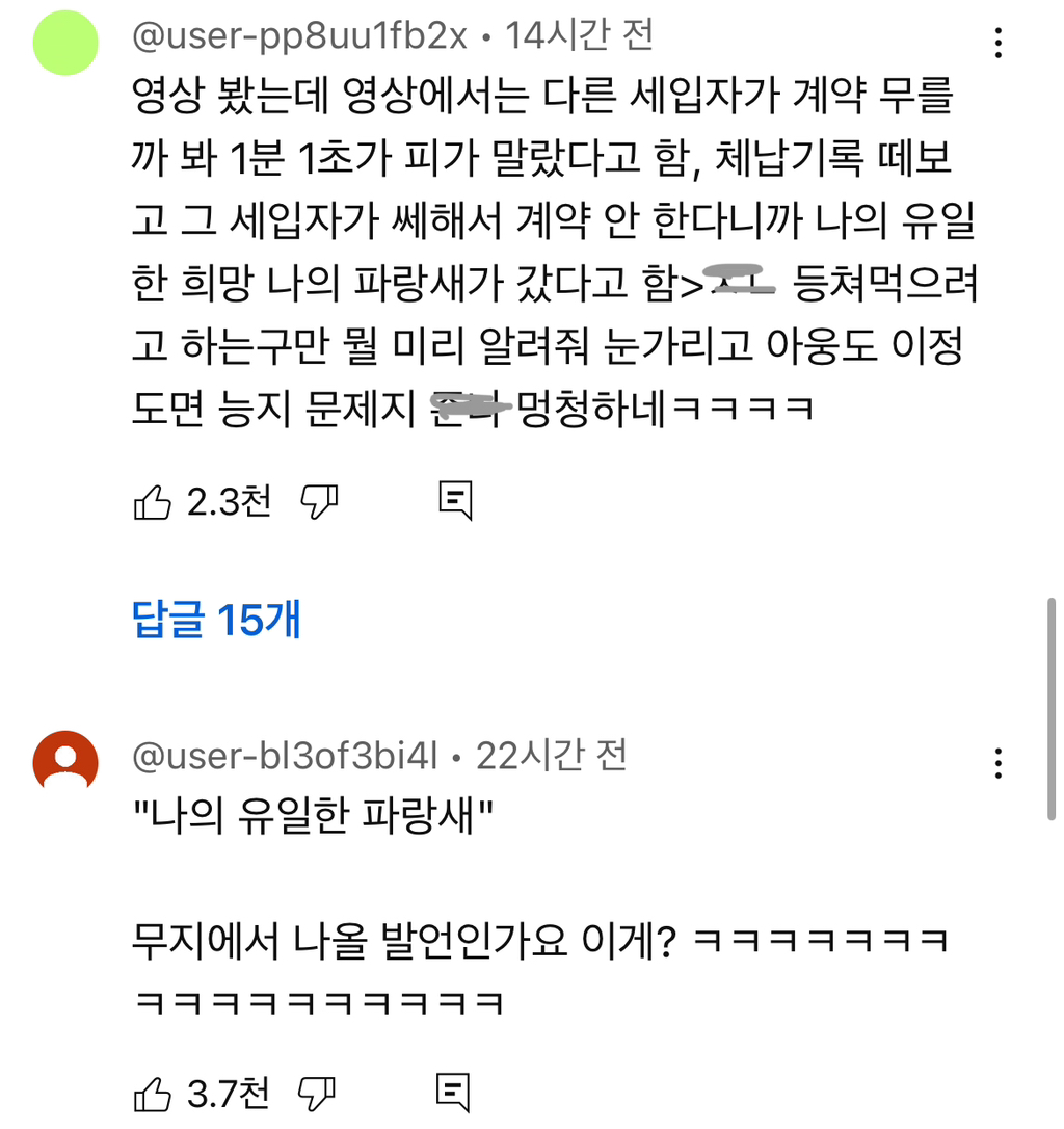 유튜브에서 6천플 찍은 달씨 해명문 (전세사기 폭탄돌리기 논란) | 인스티즈