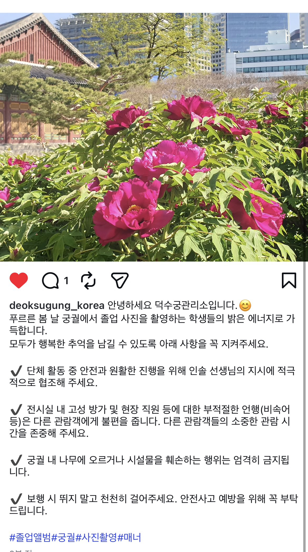 궁궐에서 나무에 오르고 욕하는 학생들 | 인스티즈