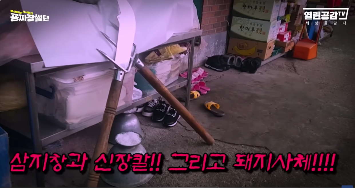 명신이가 (세금)4천만원으로 트럭2대 분량 제수용품, 19명의 무당이 벌인 굿판 | 인스티즈