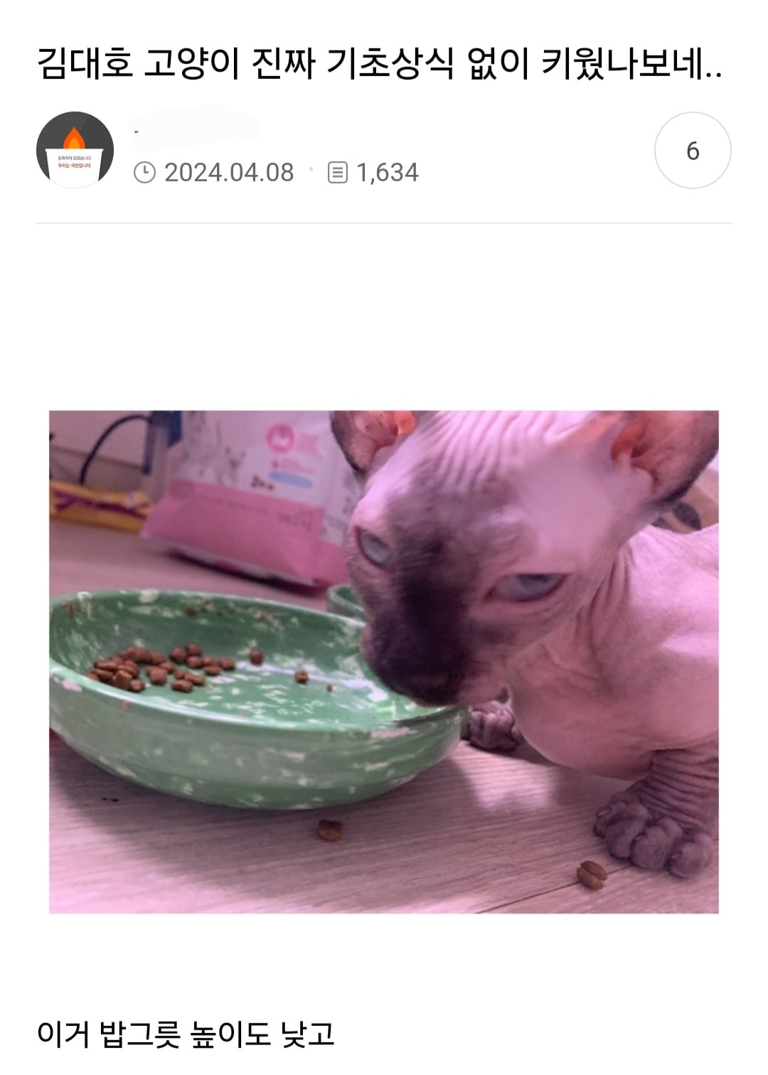 고양이 키우는 사람들이 보고 경악했다는 나혼산 김대호편 | 인스티즈