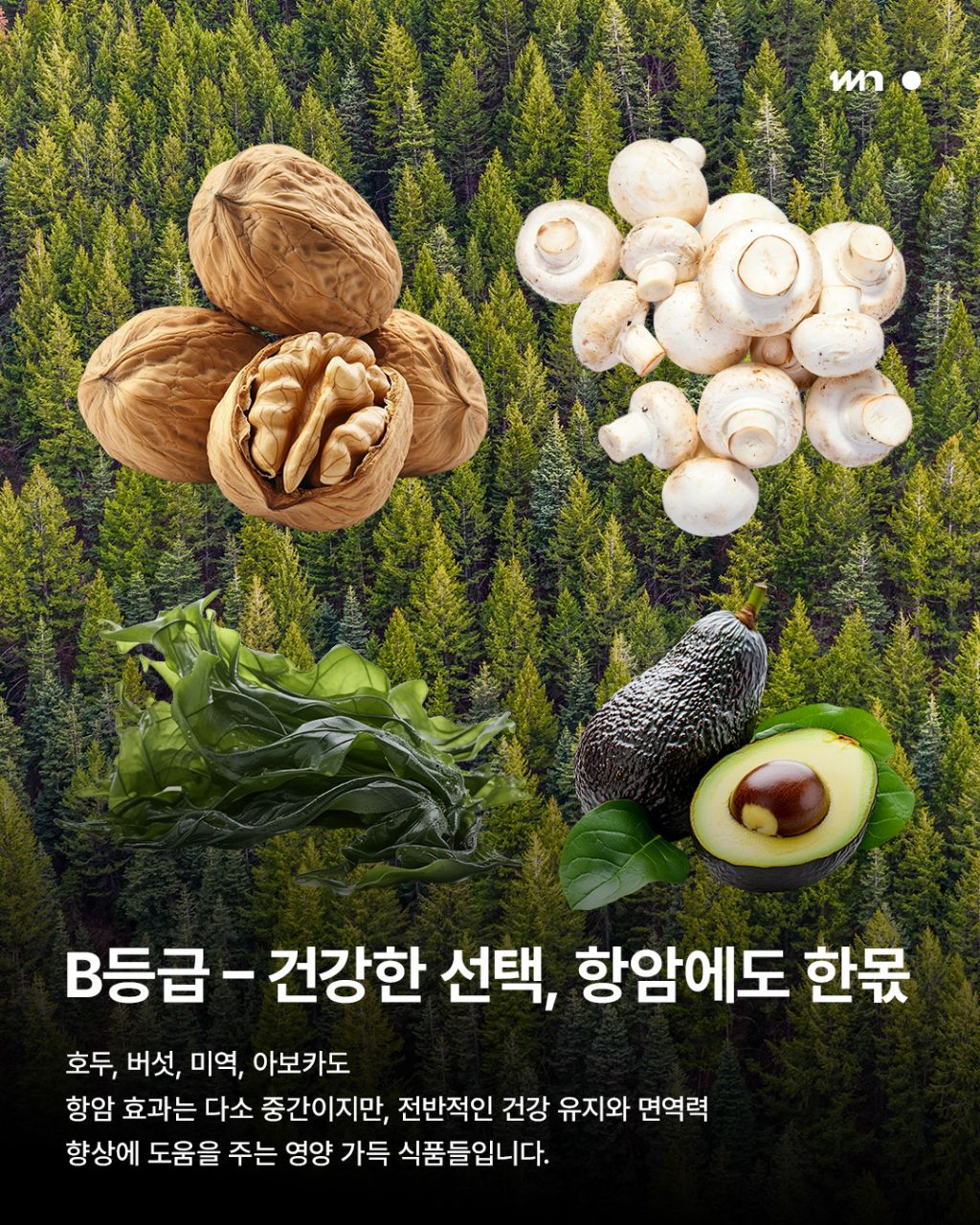 암을 막는 최고의 음식 등급 | 인스티즈