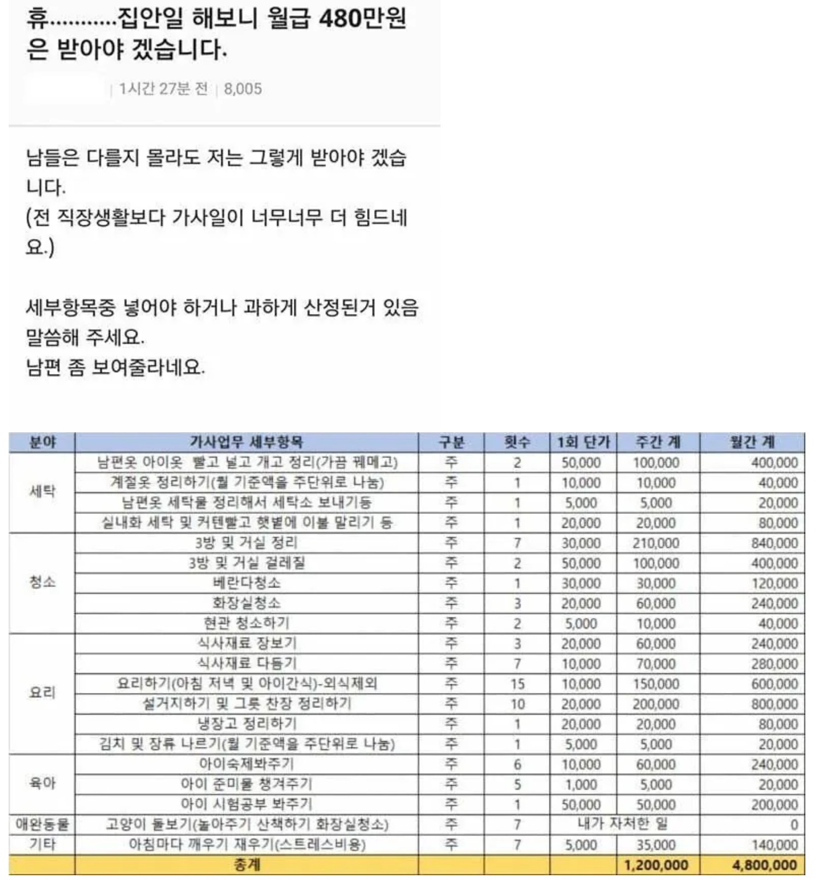 휴.... 집안일 해보니 월급 480만원은 받아야 겠습니다.jpg | 인스티즈