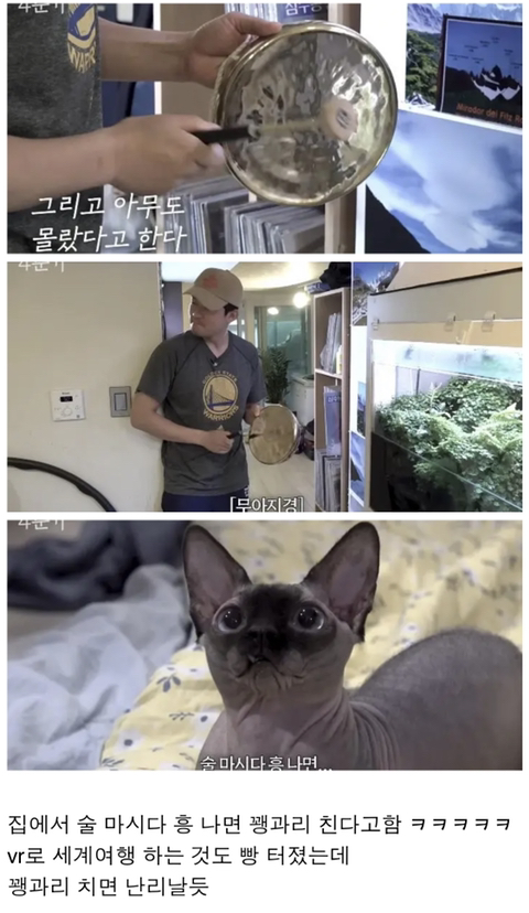 고양이 키우는 사람들이 보고 경악했다는 나혼산 김대호편 | 인스티즈
