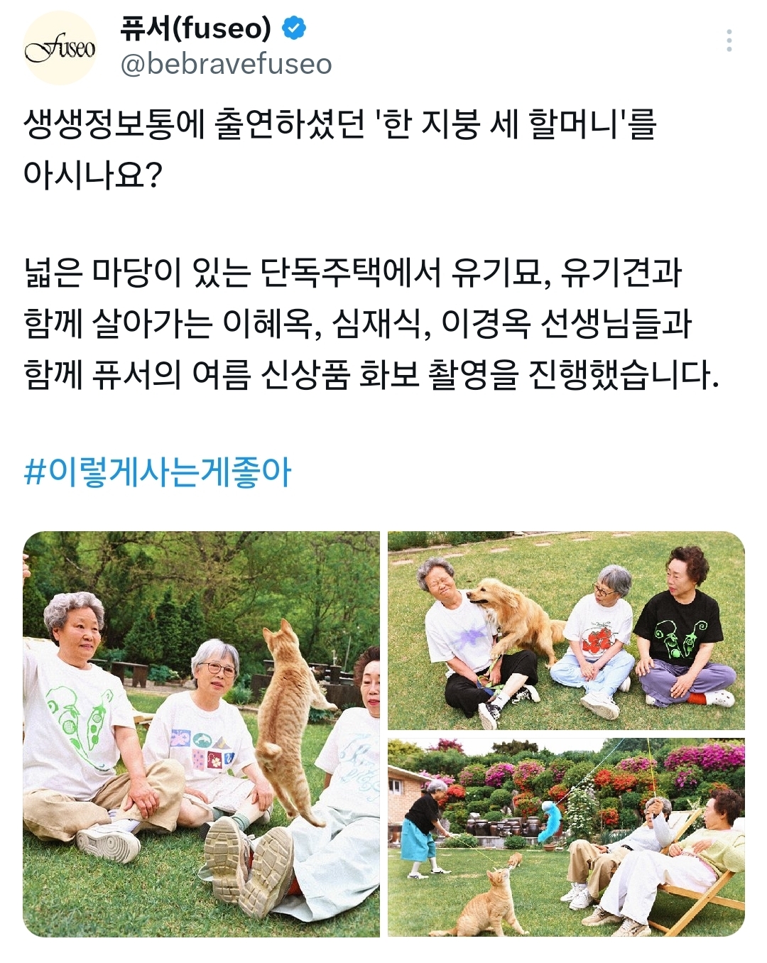 비혼 여성들의 롤모델을 모델로 섭외한 퓨서 | 인스티즈