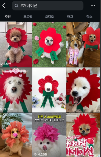 반려견이 카네이션 달고 찰칵…'펫팸족' 시대 어버이날 풍경 | 인스티즈