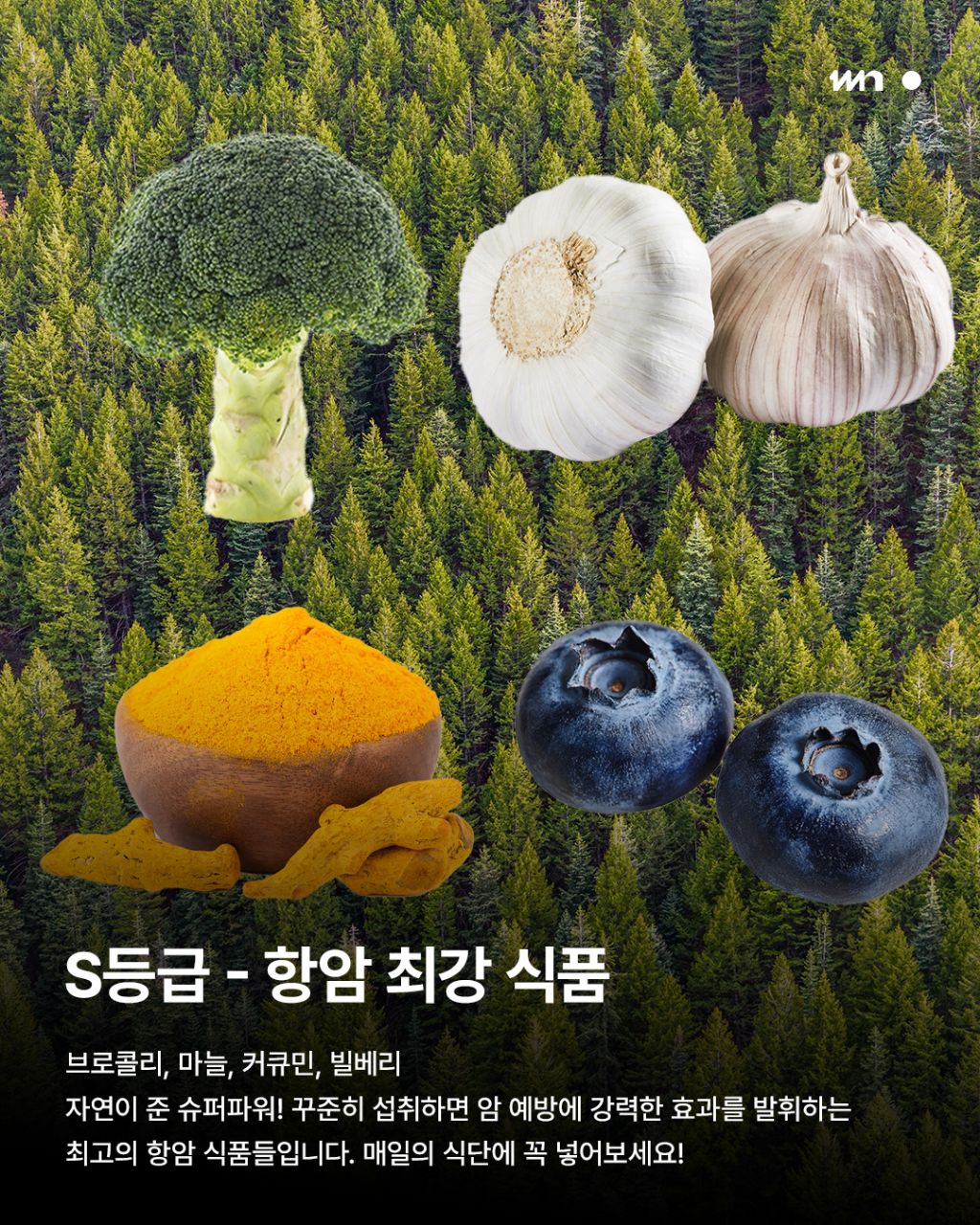 암을 막는 최고의 음식 등급 | 인스티즈