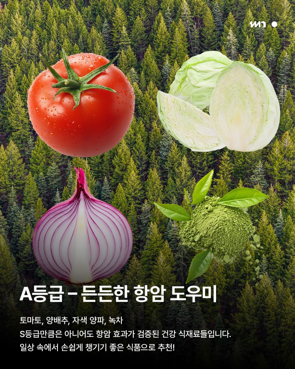 암을 막는 최고의 음식 등급 | 인스티즈